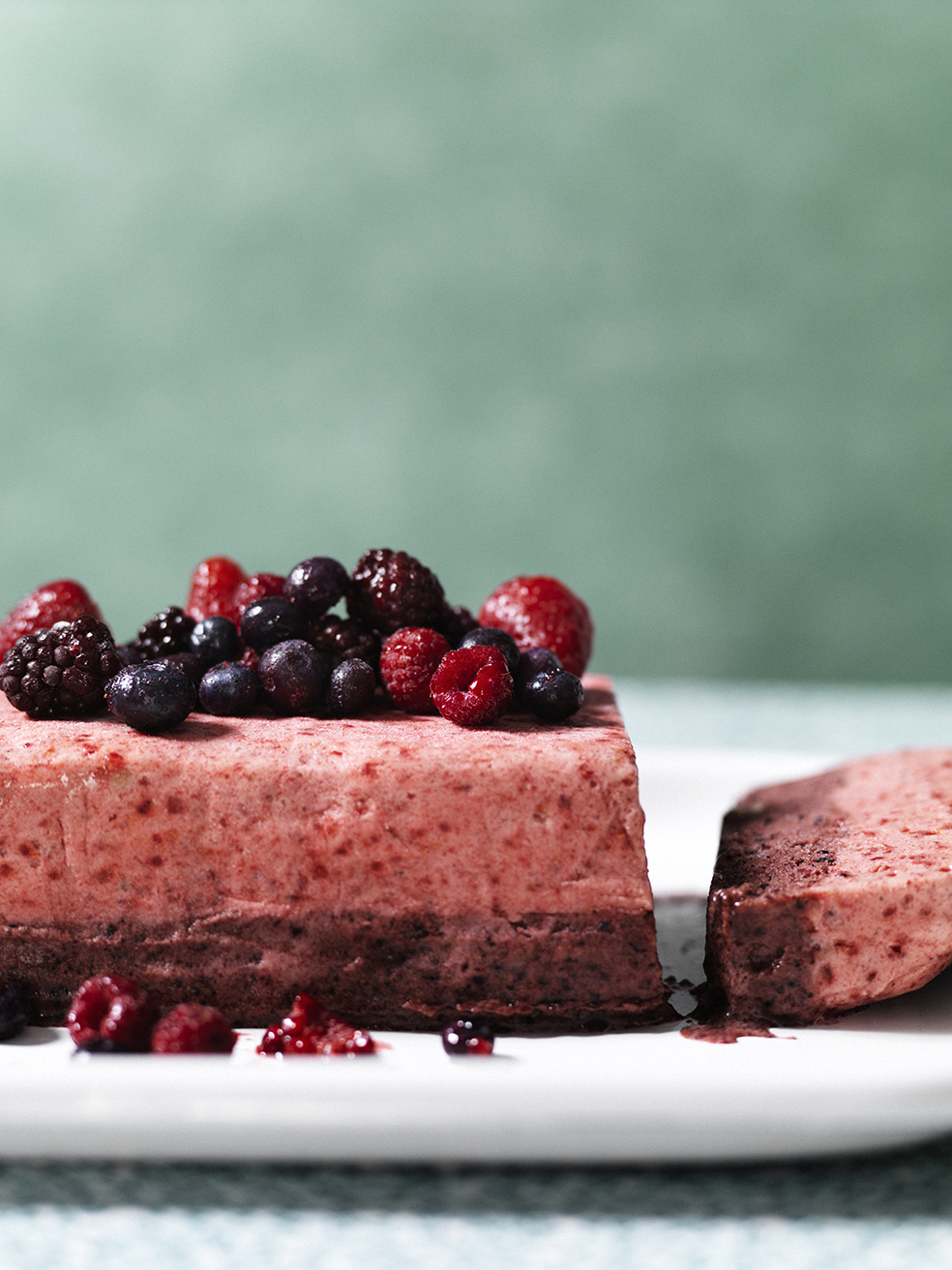BerryTerrine _2755